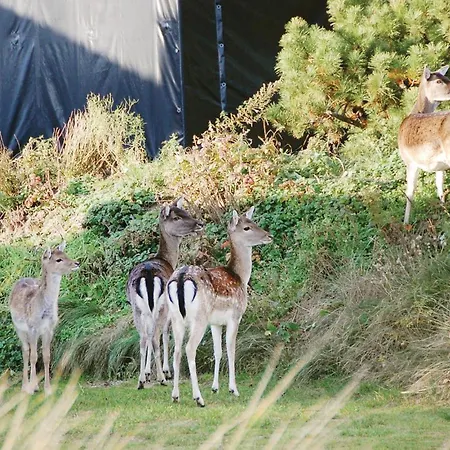 With A Fireplace 02 בית נופש *